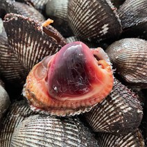 피꼬막2kg 특품, 2kg, 1개