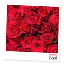 프래그런스 원액오일 100ml 22종 택1 디퓨저 소이캔들 캔들DIY 고급향료 대용량 가성비, 레드로즈