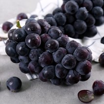 국내산 거봉 500g-2kg 씨없는 영동 포도 당도보장(특), 1kg(특)2수