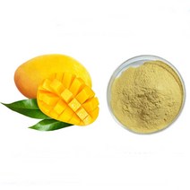 망고농축분말 1kg, 1, 단품