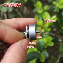 2750 마이크로 RC 드론 쿼드콥터 항공기용 브러시리스 모터 2S, [01] 1pc