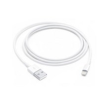 Apple 라이트닝 8핀 벌크 케이블 1m MD818FE/A, 1개