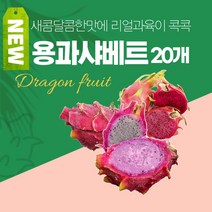 (총알/무료배송) 위드오가닉 25종 신생아 출산세트_사계절/여름