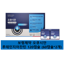 보령제약 오큐시안 루테인지아잔틴 120캡슐 (60캡슐X2개)