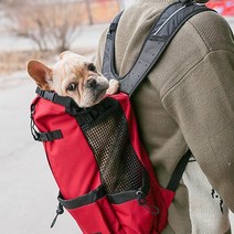 어디든 함께 강아지 애견 반려견 중형견 소형견 대형견 외출 산책 이동가방 배낭 백팩, S
