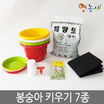 봉선화키우기 7종, 단품