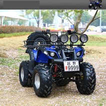 디와이 ATV 125cc 사륜 오토바이크 사바리, 레드, 세트 1
