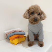 베이직 맨투맨 티셔츠 (핸드메이드 맞춤) 기본 강아지 티 xxs xs 2xl 3xl 4xl 초소형견 옷 중형견 대형견 셔츠, 옐로우
