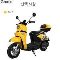 에코드라이브 뉴터틀 2인용 전기 전동 스쿠터 배달용 출퇴근용 72V22A 전기오토바이, 72V22A블랙골드6배터리, 옵션6 옐로우(미니언즈)