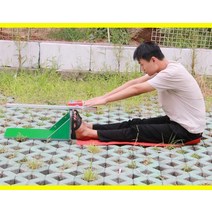 체전굴 유연성측정기 체력측정 체력장 체육 학교, 전자 좌식 바디 포워드