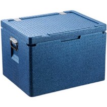 보온박스 캠핑 낚시 보냉 단열 아이스 박스 차량 차박, 블루 60L (핸들 포함)