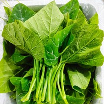 호박잎 1kg 2kg, 조선 멧돌 호박잎 2kg, 1개