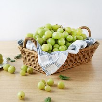 진성비엔씨(FRESH) [맛딜]아삭한 고당도 껍질째 먹는 애플청포도 3kg, 단품없음