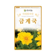 야생화 금계국 씨앗 200립 종자 좁은타원상 피침형, 단품