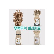 무럭무럭 버섯키우기 키트 표고+느타리 세트 재배 기르기 배지 표고버섯 느타리버섯 종균 119416, 무럭무럭 버섯키우기 키트 표고+