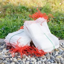 10pcs 일 야채 삽입 보호 성장 가방 안티 조류 졸라매는 끈 그물 메쉬 가방 농업 해충 제어 정원 도구, 30cmx20cm