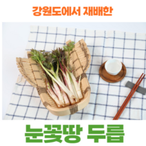 두릅 땅두릅 봄나물 강원도횡성 유기농 산지직송 국내 500g / 1kg / 1.5kg / 2kg, 눈꽃 땅두릅 500g, 1개