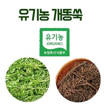 해피스토어70 국내산 말린 유기농 개똥쑥 300g (건조 개똥쑥차), 600g