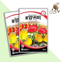 꽃양귀비 2000립 세계종묘 화훼류 씨앗