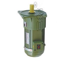 3상유도전동기 단상모터 0.2kW AC 220V 380V 3 상 중형 기어드 모터 저속 대형 토크 수직 설치 산업용 교반, 02 300rpm