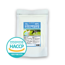백세식품 WPC유청단백질분말100% 500g 독일산 HACCP 인증제품, 2개