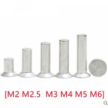 [M2 M2.5 M3 M4 M5 M6] 카운터 싱크 헤드 리벳 알루미늄 솔리드 리벳 GB869, 02 M2.5 (100Pcs)_02 5mm