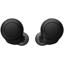 [일본정품]SONY소니 무선 블루투스 이어폰 이어버드 고정밀 통화 품질 쉬운 페어링 IPX4 방수 성능 노이즈감소 급속충전 20시간재생 USB어댑터PC연결가능 SBC AAC, 블랙, USB어댑터 미포함