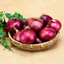 [특가할인] 23년 출하 햇 무안양파 자색양파 / 크기 대특 혼합 3kg 5kg 10kg, 10kg 대/특(혼합), 1개