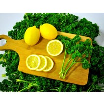 오일만 주스 5일 세트 파슬리 300g + 레몬 5개 소분포장발송 건강 디톡스 레몬쥬스 만들기 재료