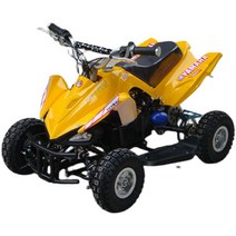 4륜오토바이 소형 산악용 전기 네발 바이크, 분홍색