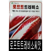 [워터트리몰] 채소 종자 재배 씨앗 로프트 트레비소씨앗(1000립) (A)