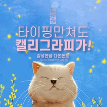 다온폰트 타이핑치는 캘리그라피 라이트 1년 쿠폰(윈도우전용), DAON LIGHT / 12