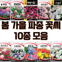 노지 월동 야생화 씨앗 10봉지 1set 모음 봄 가을 파종 꽃씨 매발톱씨앗 코스모스씨앗 물망초씨앗 샤스타데이지씨앗 수레국화씨앗 솔체씨앗 양귀비씨앗, 5set