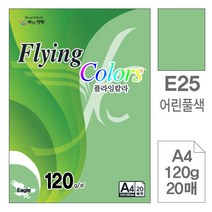 삼원)플라잉칼라(E25.어린풀색A4-120g20매-포10권입), 단품