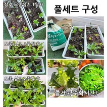상추키우기 까치발 화분 베란다 텃밭 저면관수 자동급수, 화분 1개 + 흙