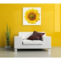 해바라기그림 해라바기일러스트 캔버스 350mmX350mm
