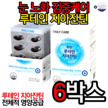 유한양행 유한 루테인 지아잔틴 500mg x 60캡슐 눈영양제 눈 노화 항반변성 눈에좋은음식 루테인효능 눈에좋은영양제 시력에좋은음식 제아잔틴 누테인 마리골드 알약케이스, 6박스, 특가할인
