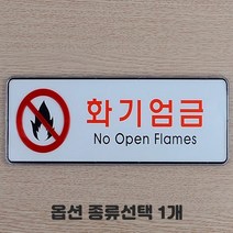 투명 케이스형 CCTV 보안카메라 녹화중 작동중 화장실 소화기 출입금지 금연 흡연 걸이형 부착형 당기세요 미세요 종류선택 1개, 대 화기엄금 가로형 2개입