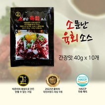 대현 소문난 육회소스 간장맛 40g x 10개, 10개입