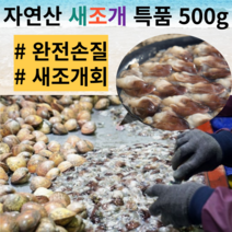 새조개 자연산 특품 500g 귀족조개 황제조개