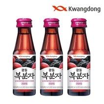 제트스카이 광동제약 복분자 100ml*10개입, 기타
