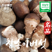 국내산 무농약 참송이버섯 친환경 참송이버섯 가정용 1kg, 1개