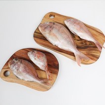 자갈치닷컴 냉동도미 도미, 180g (20-23cm)전후, 5마리