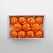 킹호연지기레드향 3kg 1113과 제주 감귤, 상세페이지 참조, 상세페이지 참조