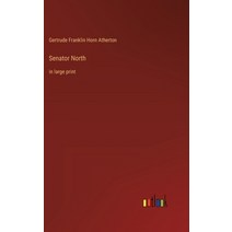 (영문도서) Senator North: in large print Hardcover, Outlook Verlag, English, 9783368349233