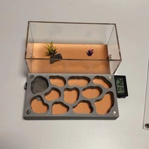 3D 개미 둥지 사육장 여왕 거미 알 키우기 관찰, 미디엄 G
