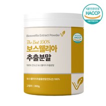 식약처인증 보스웰리아 추출분말 가루 세라트린 보스웰릭산 65배 고농축 차세대 쎄레타 유향 원물 덩어리 수액 인도산 AKBA KBA 함량 비카인정품 식약청 해썹인증 350g, 보스웰리아가루350gx1set