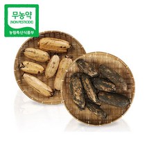 무농약 산지직송 국내산 시흥연근 생연근 말린연근 건연근 햇연근 2kg 3kg 15kg, 1박스, 못난이연근 3kg