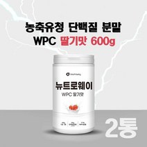 유청단백질 분말 WPC 농축 유청 프로틴 파우더 쉐이크 필수 아미노산 류신 분말 가루 헬스 보충제 미국산 포대유청 농축유청 단백질 추천 초코맛 딸기맛 식사대용 여성 남성, 15일분 2통 스푼동봉(딸기맛), 2개