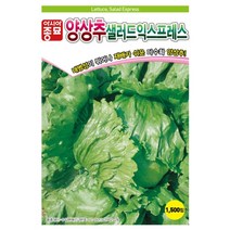샐러드 익스프레스 양상추 씨앗 1500립 재배 쉬운 다수확 종자 내병성 저장성 우수 텃밭 채소 재배 농사
